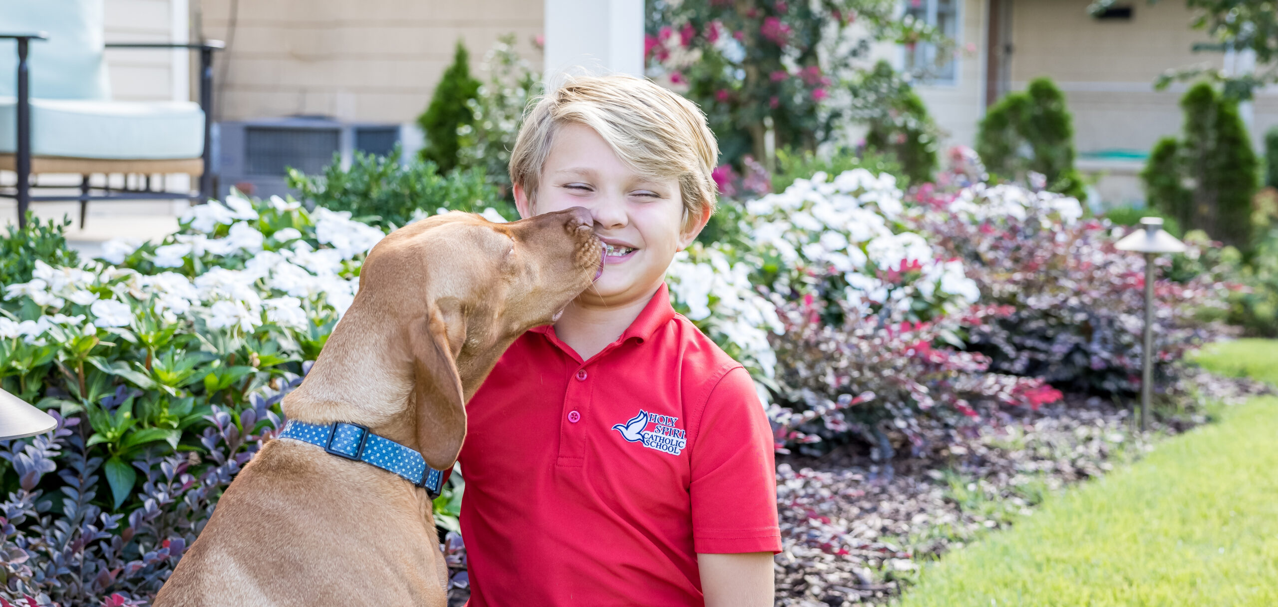 Orthodontics for All Ages